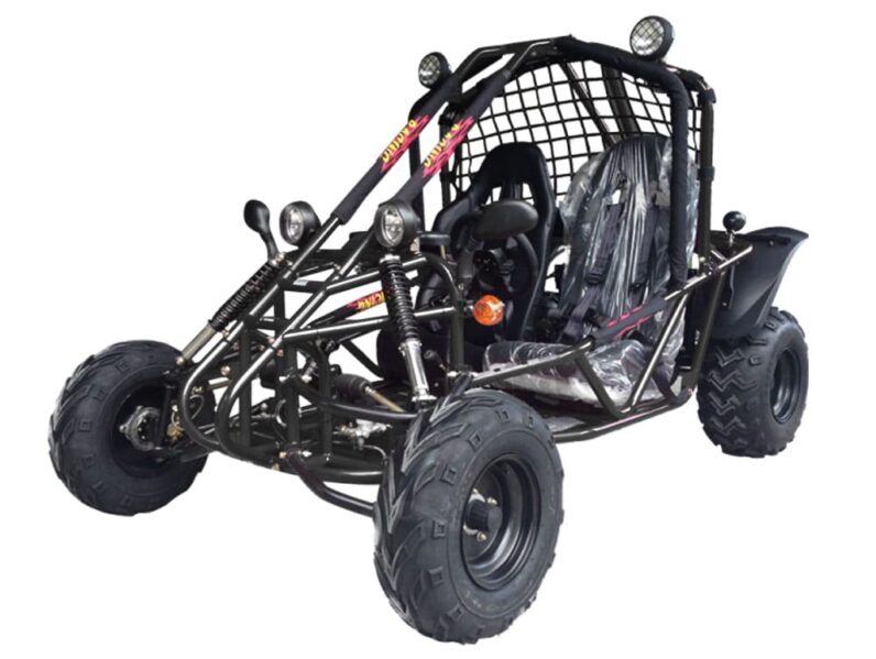 what does a buggy look like